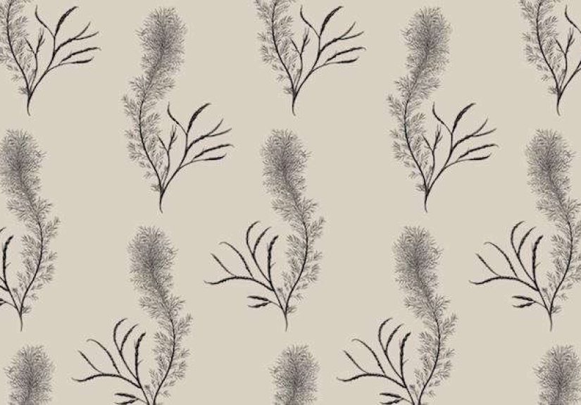 Min Hogg Sea Feather Medium Wallpaper