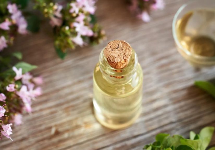Oregano, Oregano Oil and Oregano Tea: What Are the Benefits?