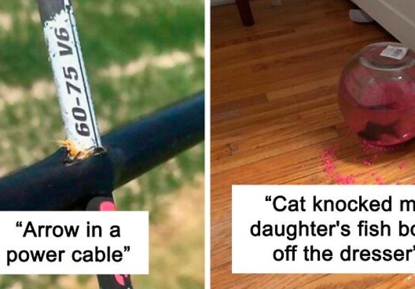 People Are Sharing Pics That Show Things That Happened At ‘Nearly Impossible Odds’ (40 Pics)