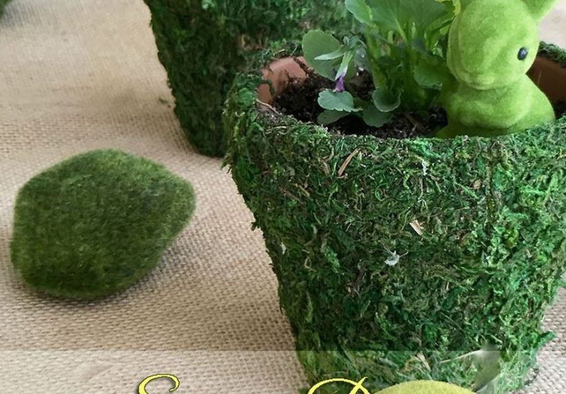 Spring Moss Covered Pots