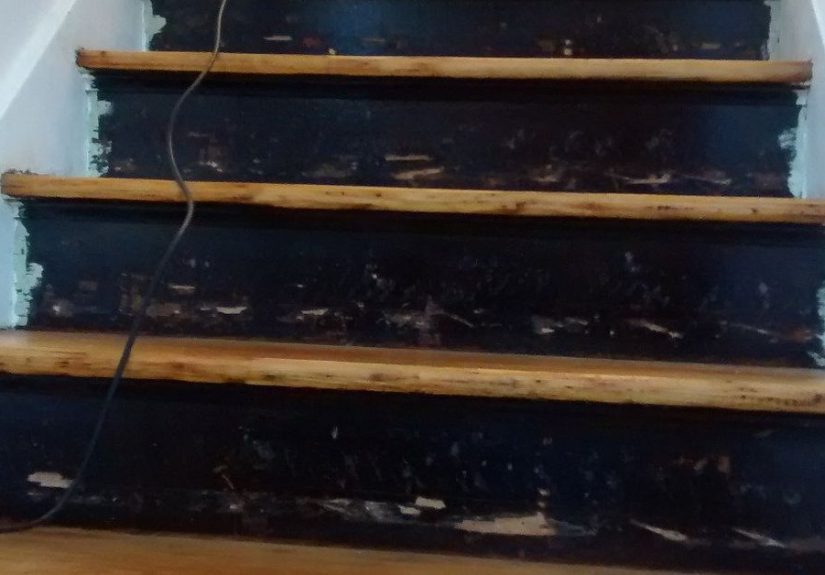 Stair Risers + Wallpaper Border