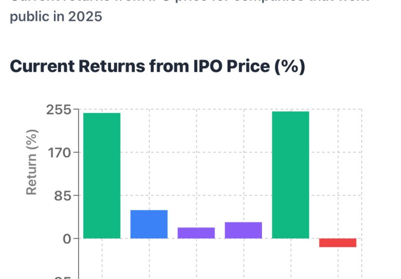 The Great IPO Awakening: What 2025’s Surprisingly Hot Market Means for B2B Companies