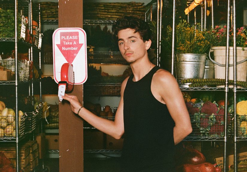 Timothée Chalamet Explores Payment Tips and Quirky Produce Picks in Cash App Collab