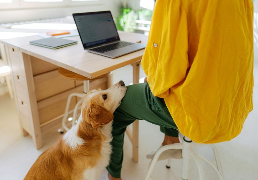 Work-Life Balance: 7 Tips for Setting Boundaries With Work