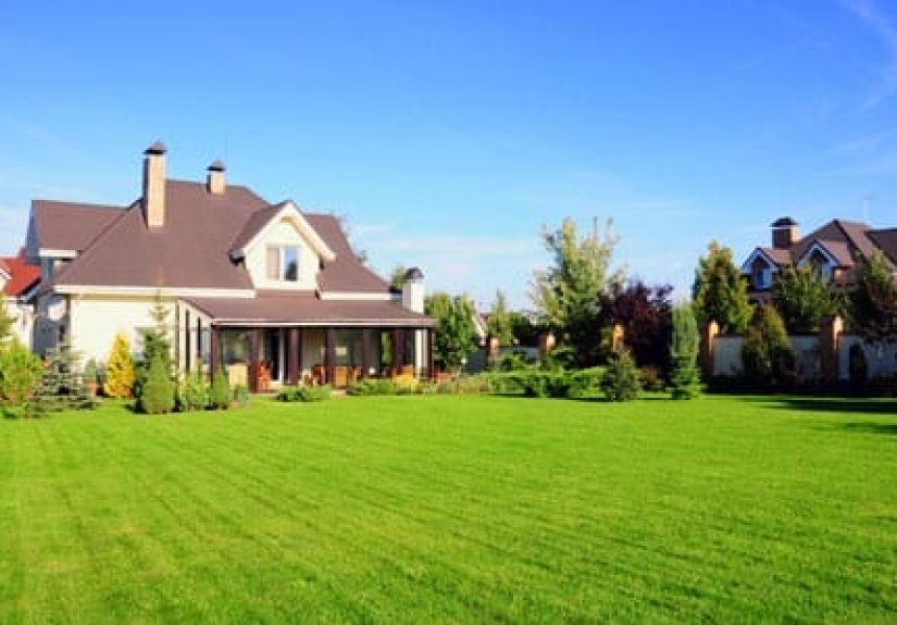 Your Toughest Lawn Questions Answered - This Old House