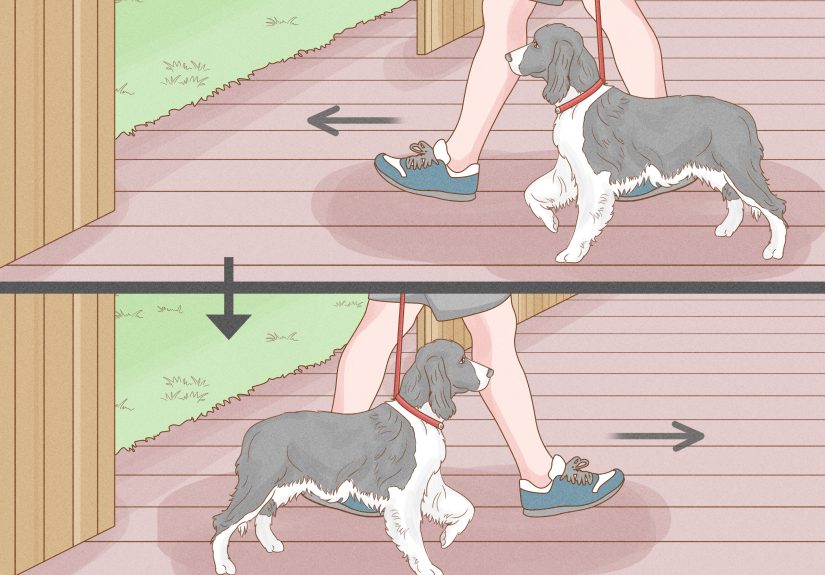 13 Simple Ways to Keep a Dog from Jumping the Fence