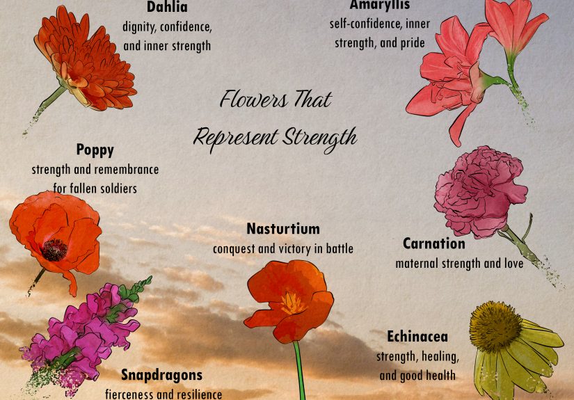 21 Flowers That Mean Strength, Courage, & Resilience
