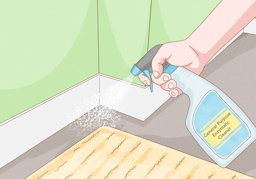 3 Ways to Get Rid of the Fishy Smell from My Dog