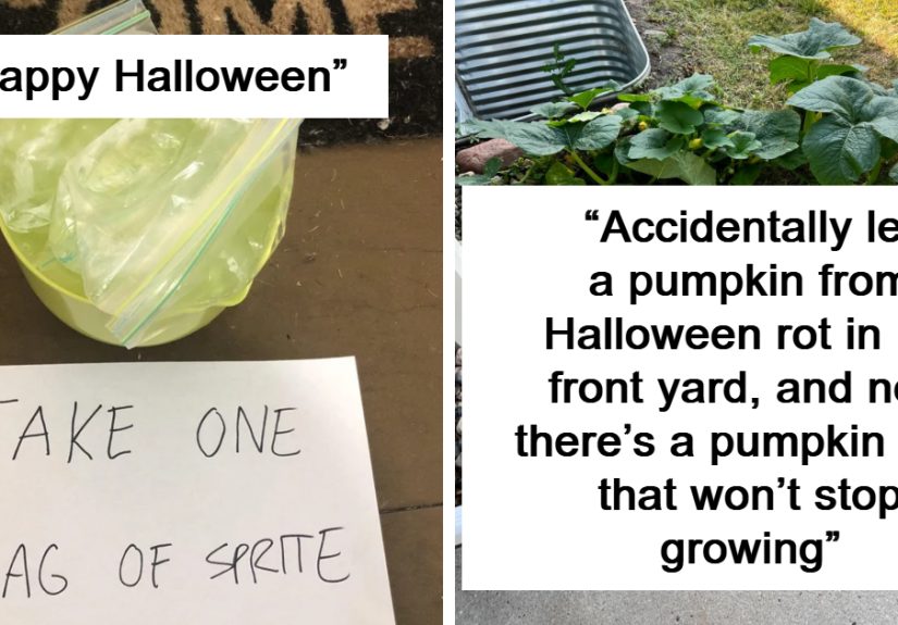 50 Halloween Fails That Put A Damper On The Spookiest Day Of The Year