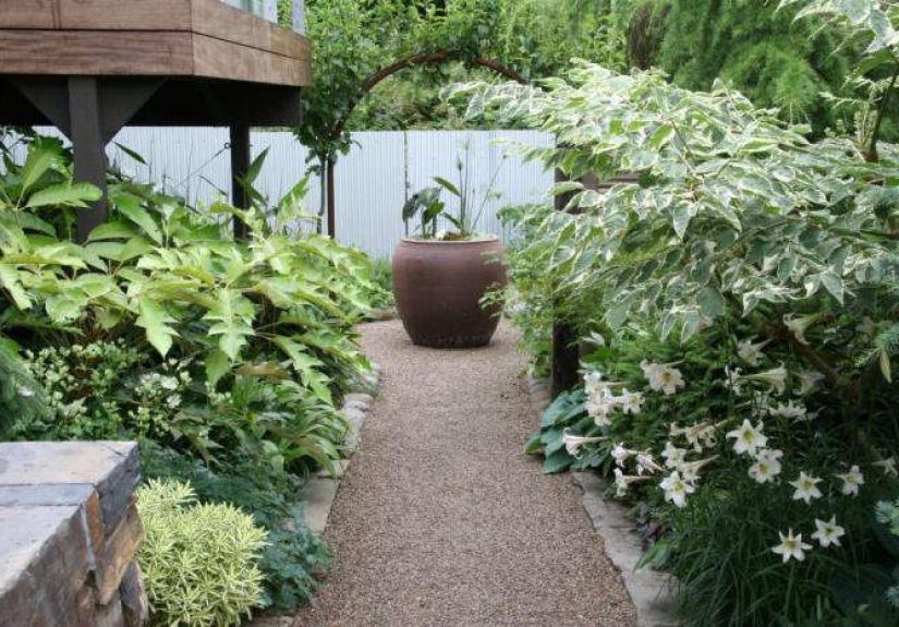 A Garden Transformed, in Eugene, OR