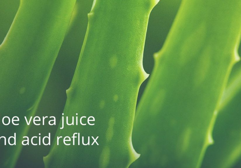 Aloe Vera Juice for Acid Reflux: What You Should Know