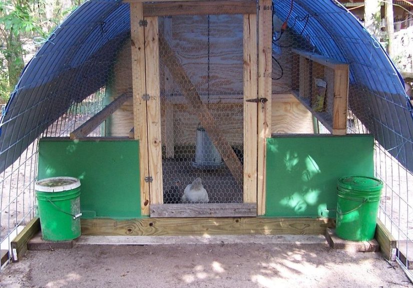 Build Your Own Chicken Coop!