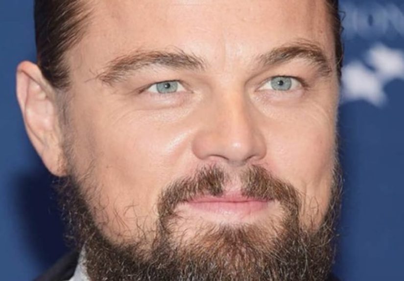 Celebrity Environmentalists
