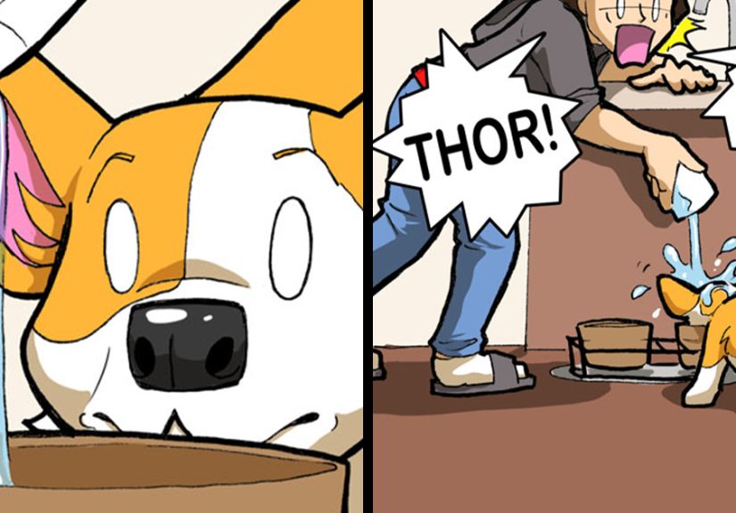 Community’s Best Dog Comics That Made Us Smile (30 Pics)