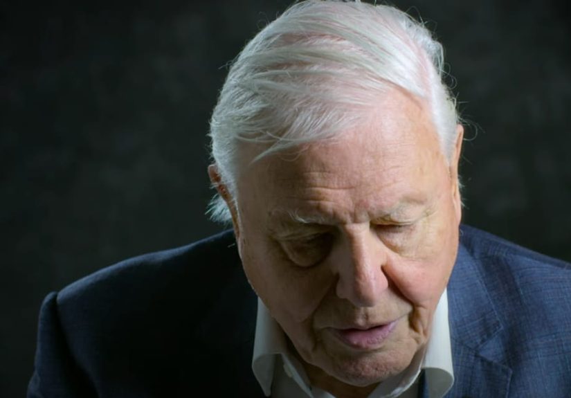David Attenborough: A Life on Our Planet Rankings And Opinions