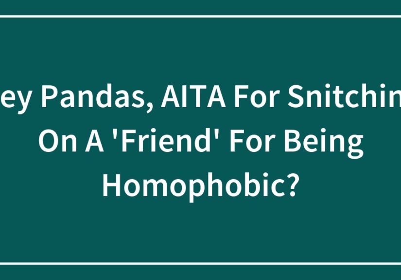 Hey Pandas, AITA For Snitching On A ‘Friend’ For Being Homophobic?