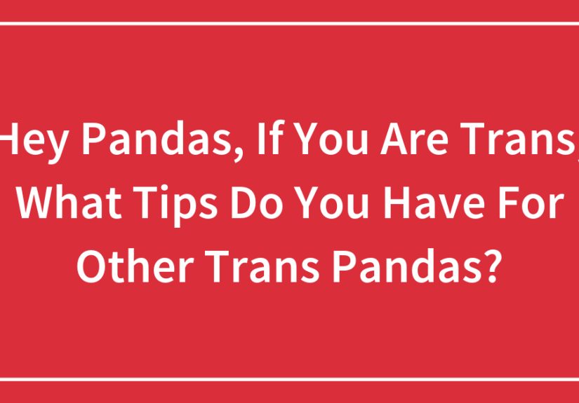 Hey Pandas, If You Are Trans, What Tips Do You Have For Other Trans Pandas?