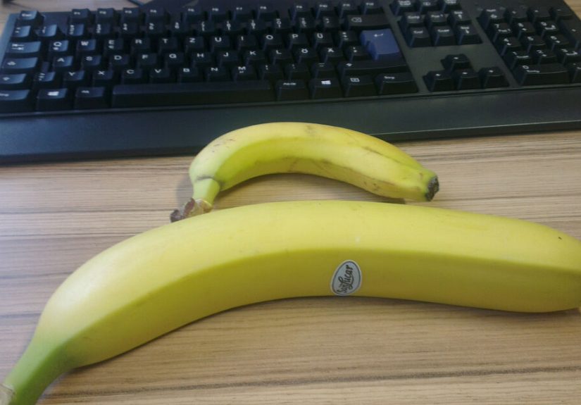 Hey Pandas, Post Your Favourite “Banana For Scale” Images