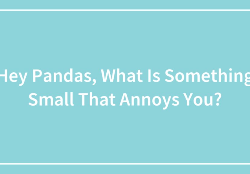 Hey Pandas, What Is Something Small That Annoys You?