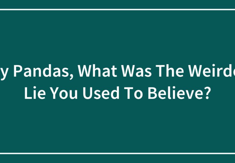 Hey Pandas, What Was The Weirdest Lie You Used To Believe? (Closed)