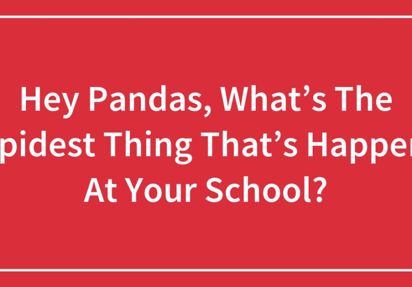 Hey Pandas, What’s The Stupidest Thing That’s Happened At Your School?