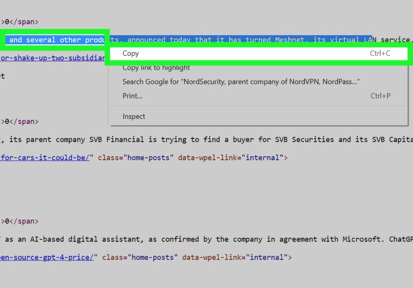 How to Copy Text That Can’t Be Copied on a Website: 8 Ways