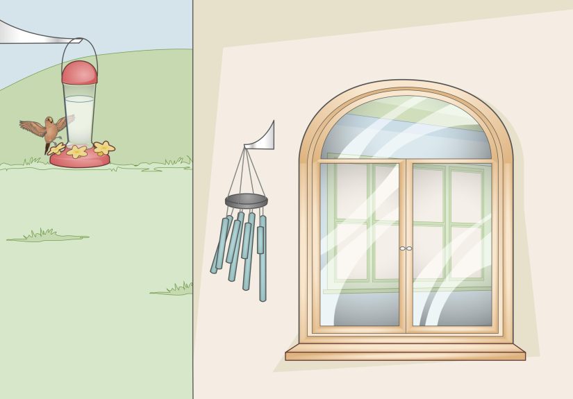 How to Stop Birds from Attacking Windows: 13 Simple Hacks
