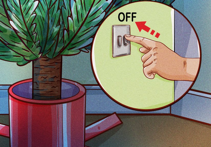 How to Water a Christmas Tree: 11 Steps