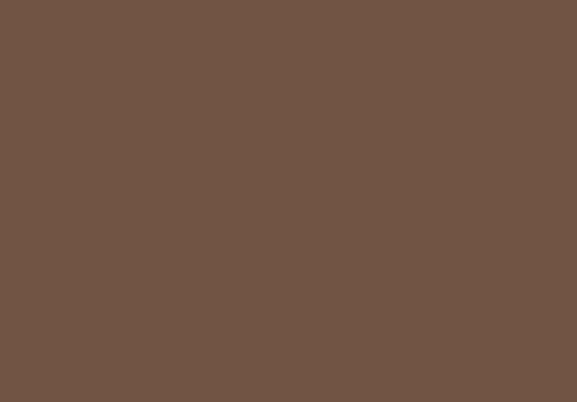 London Clay No. 244 Paint