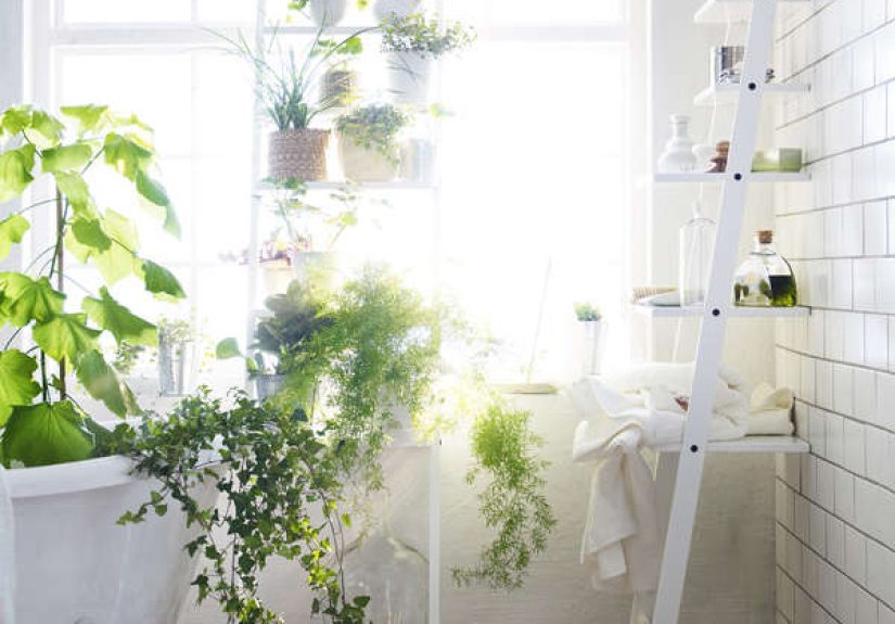 New From Ikea: A Stepladder Shelf for Plants