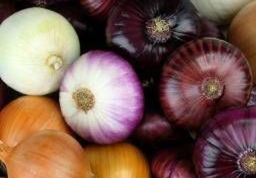 Onions: Benefits and Nutrition