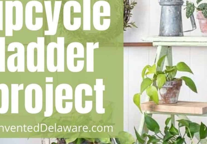 Revamp Your Home with an Upcycled Step Ladder Décor Hack