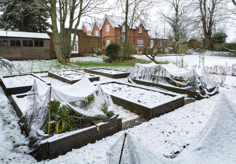 Should You Cover Your Raised Garden Beds This Winter? What Gardeners Recommend