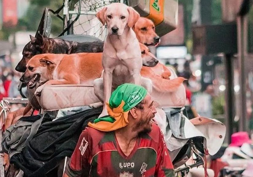 The Most Sincere Love Comes From Animals, And Here Are 60 Heartwarming Pictures Of Homeless People With Their Pets In Brazil