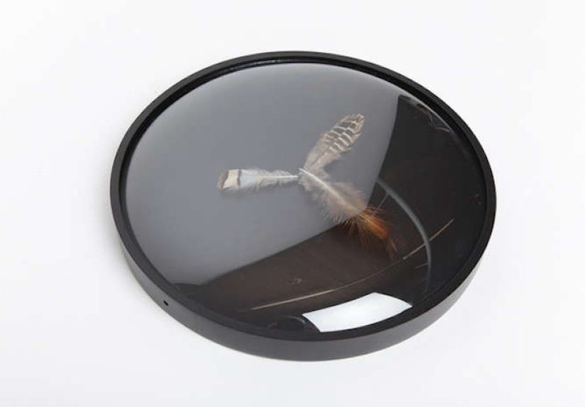 Time Flies: A Feather Clock from France