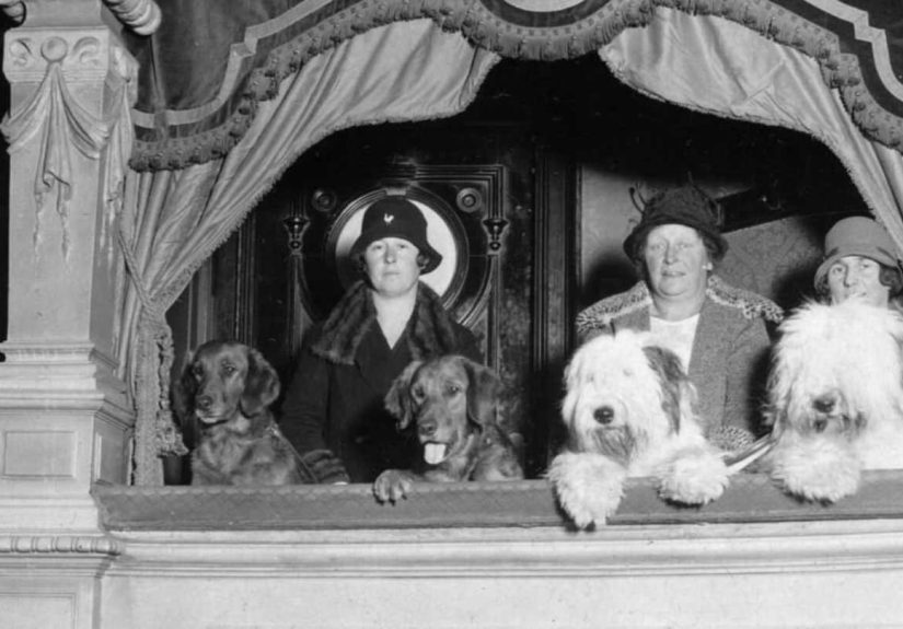 11 Things We No Longer See in Movie Theaters
