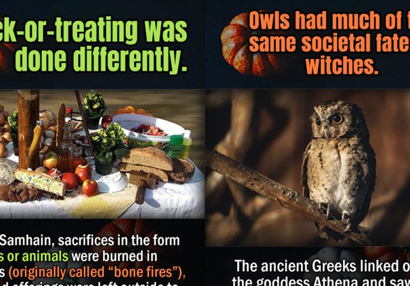 22 Historical Halloween Facts To Hex Your Brain