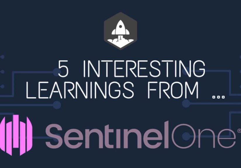 5 Interesting Learnings from SentinelOne at $500,000,000 in ARR