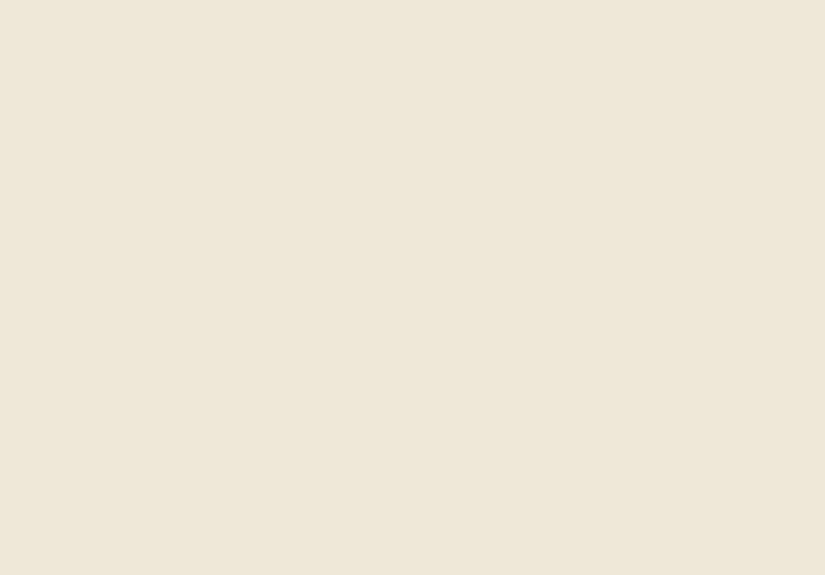A Soft Chalk White Paint No. 2009