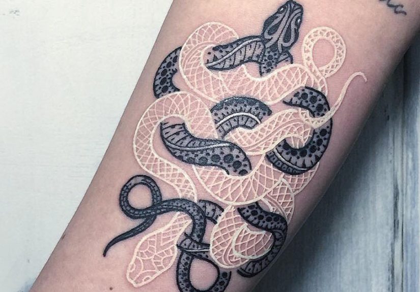 Black And White Snake Tattoos By Mirko Sata