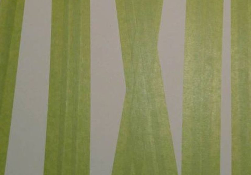 DIY Fun Challenge - Birch Log Painting