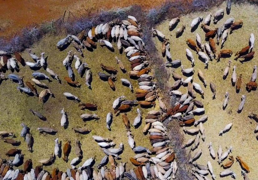 Food Supply is Delicate And Climate Change Is Making Things Worse