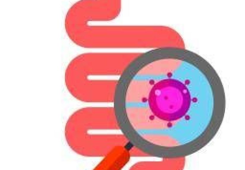 Gut bacteria and the brain: Are we controlled by microbes?