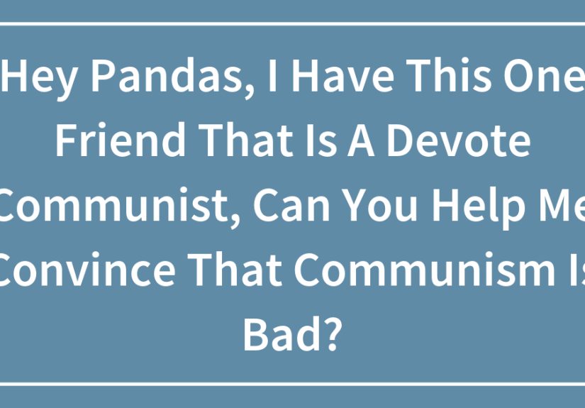 Hey Pandas, I Have This One Friend That Is A Devote Communist, Can You Help Me Convince That Communism Is Bad?