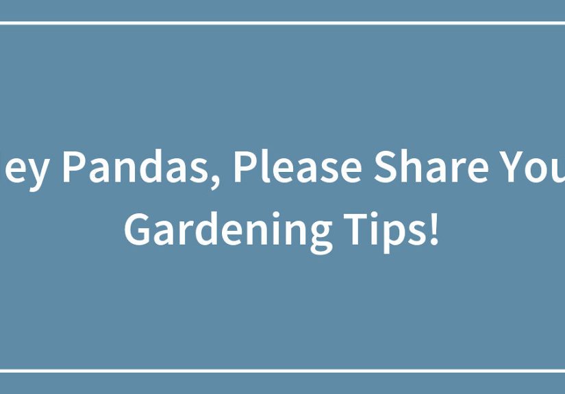 Hey Pandas, Please Share Your Gardening Tips!
