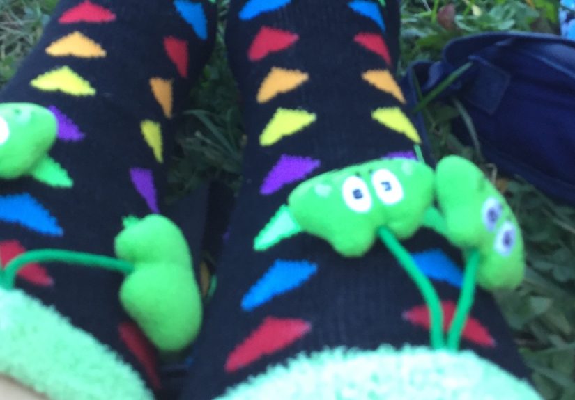 Hey Pandas, Show Me Your Favorite Pair Of Socks