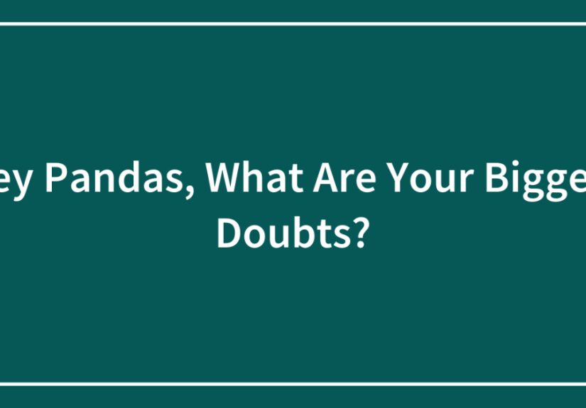 Hey Pandas, What Are Your Biggest Doubts?