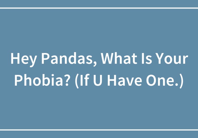 Hey Pandas, What Is Your Phobia? (If U Have One.)