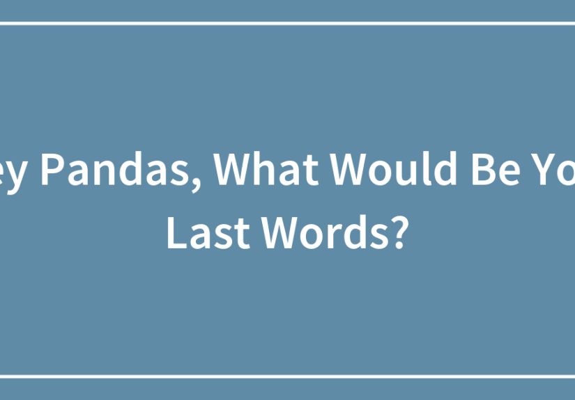 Hey Pandas, What Would Be Your Last Words?