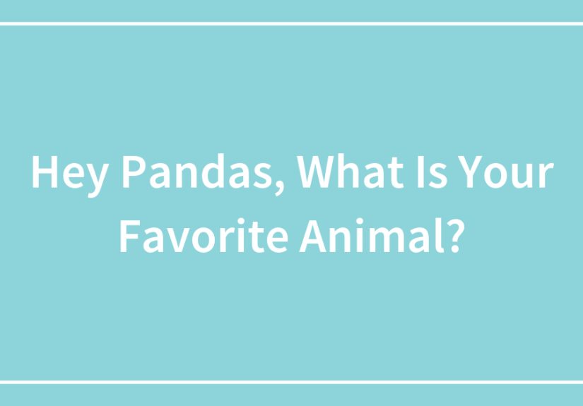 Hey Pandas, Who Is Your Favorite Music Artist?